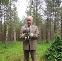 Restytucja Sokoła wędrownego