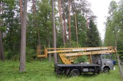 Fot. archiwum Nadleśnictwa