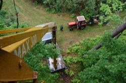 Fot. archiwum Nadleśnictwa