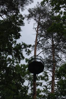 Fot. archiwum Nadleśnictwa