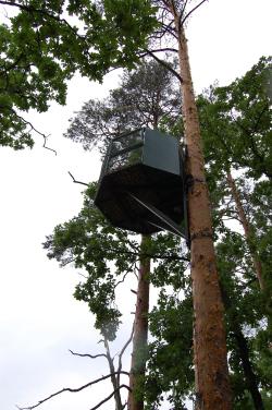 Fot. archiwum Nadleśnictwa