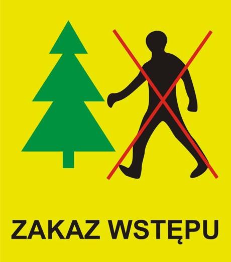Zakazy wstępu do lasu