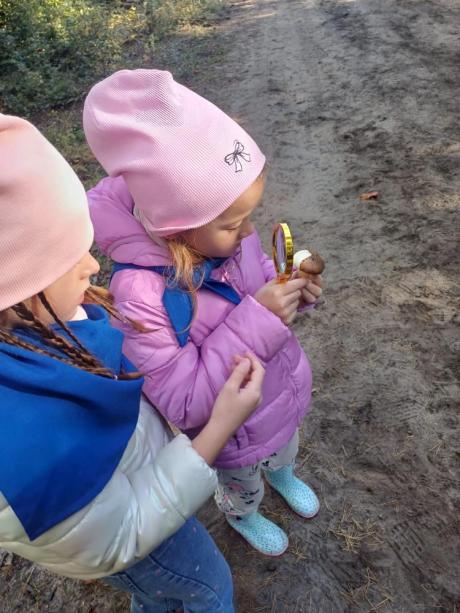 Poznajemy las z przedszkolakami