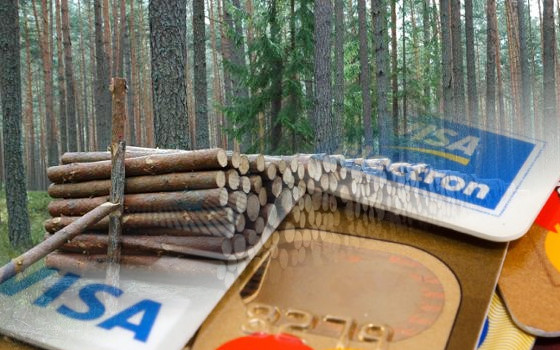 Fot. archiwum Nadleśnictwa